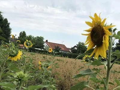 Gemuetlich Wohnen In Messenaehe, Feenzian