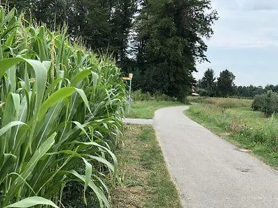 Gemuetlich Wohnen In Messenaehe, Feenzian Apartamento Friedrichshafen